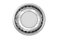 Bee Plate Pack