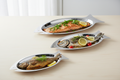 Fish Tray Set - All Three Sizes